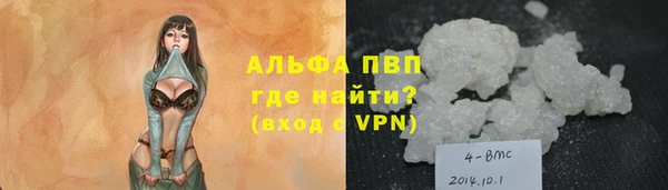 гашик Балахна