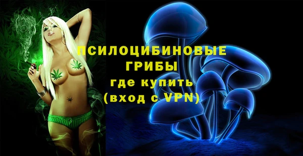 гашик Балахна